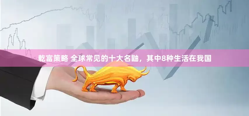 乾富策略 全球常见的十大名鼬，其中8种生活在我国