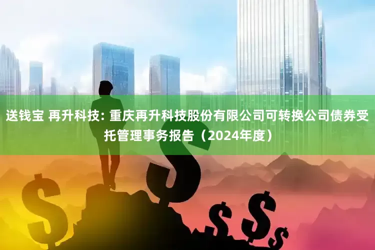 送钱宝 再升科技: 重庆再升科技股份有限公司可转换公司债券受托管理事务报告（2024年度）