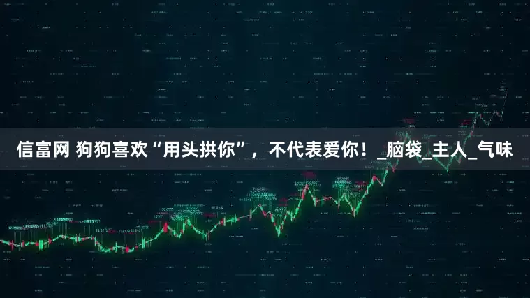 信富网 狗狗喜欢“用头拱你”，不代表爱你！_脑袋_主人_气味