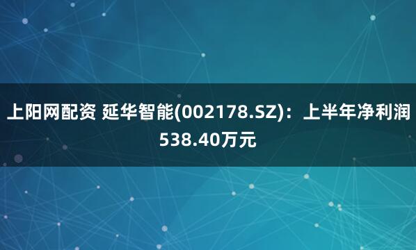 上阳网配资 延华智能(002178.SZ)：上半年净利润538.40万元