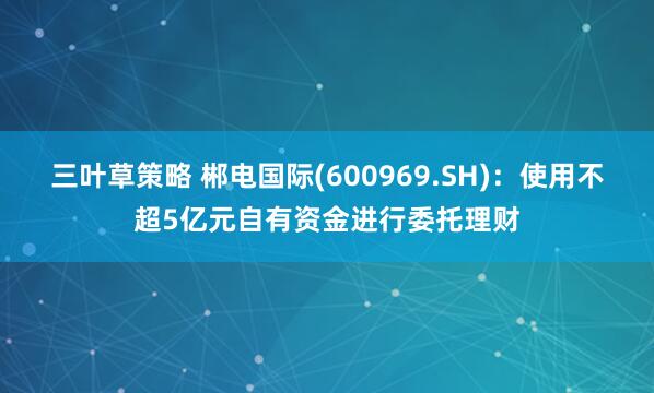 三叶草策略 郴电国际(600969.SH)：使用不超5亿元自有资金进行委托理财